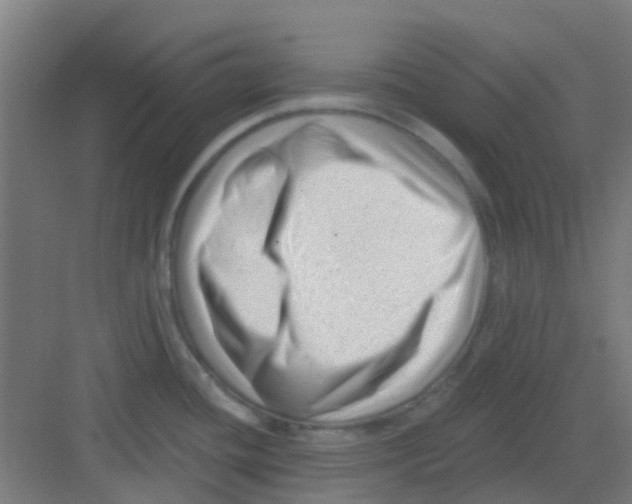 X0000081361436200702082309