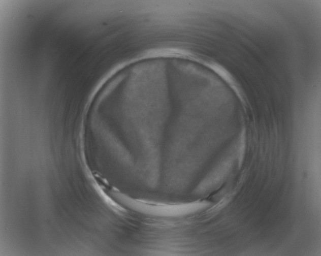 X0000081361438200702082309