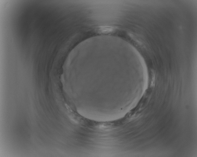 X0000081361441200702082308