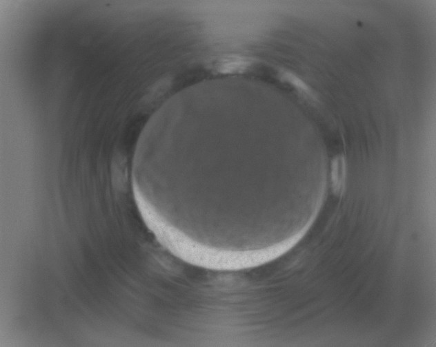 X0000081361443200702082308