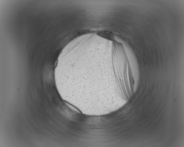 X0000081361444200702082308