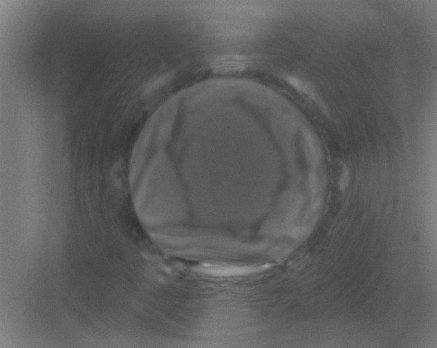 X0000081361445200702082308