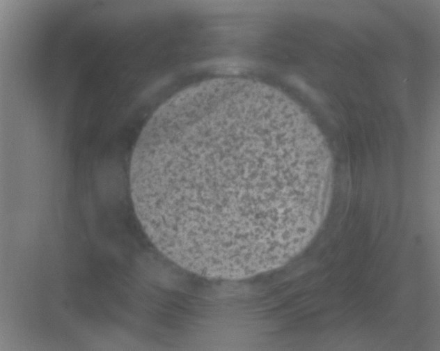 X0000081361446200702082308