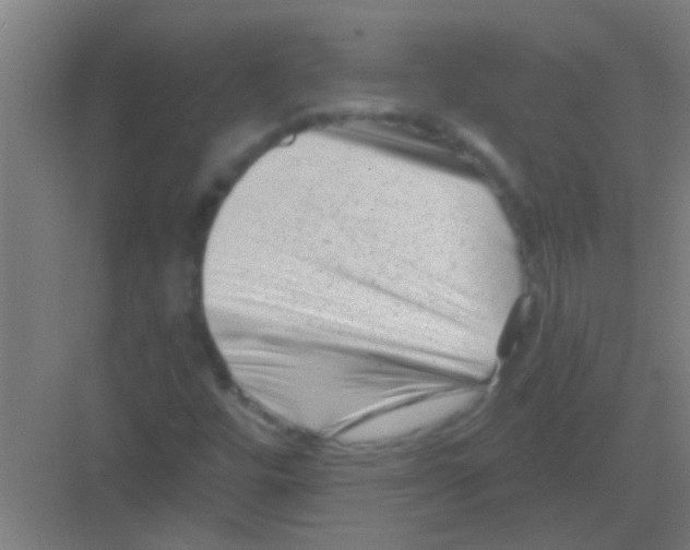 X0000081361448200702082308