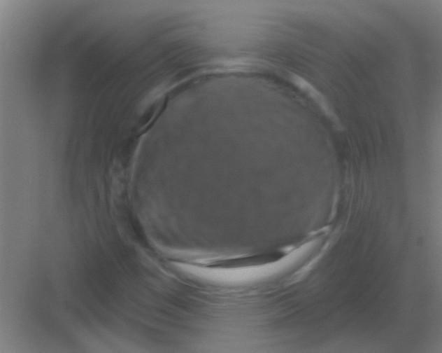 X0000081361449200702082308