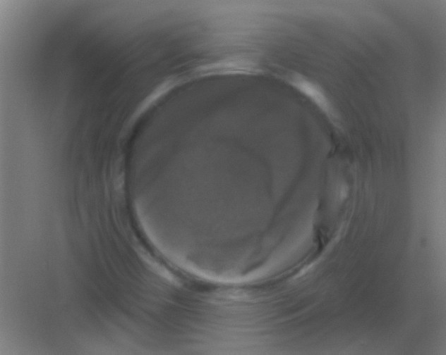 X0000081361450200702082308