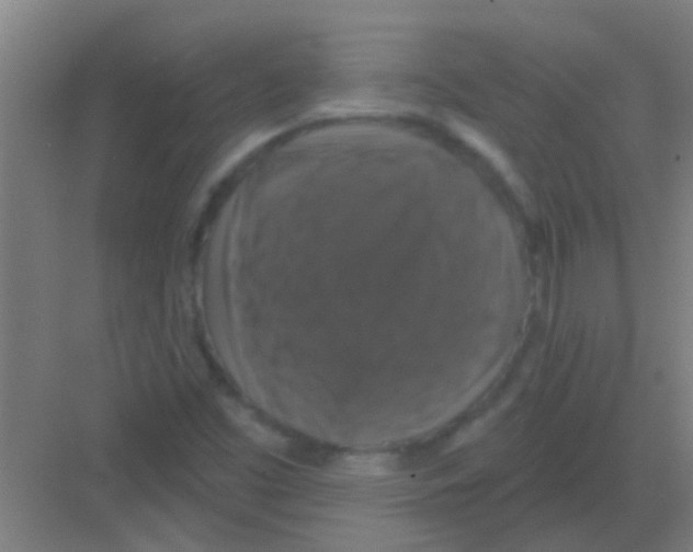 X0000081361453200702082308