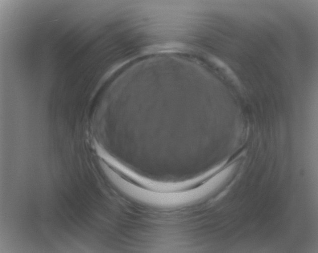 X0000081361457200702082308