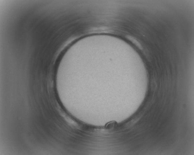 X0000081361458200702082308