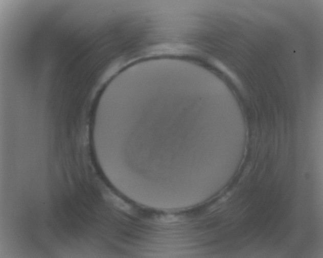 X0000081361459200702082308