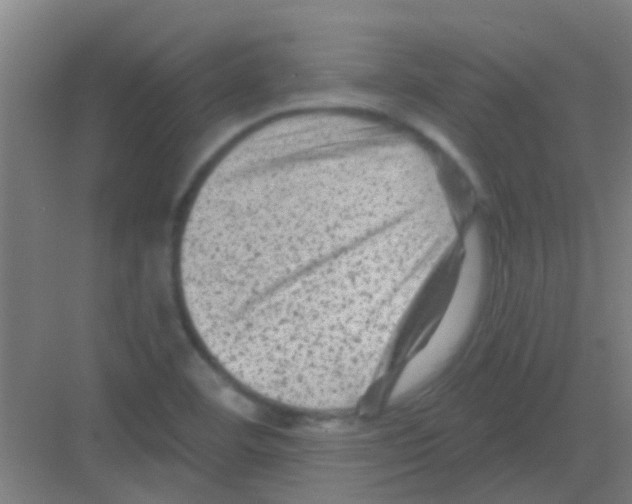 X0000081361460200702082308