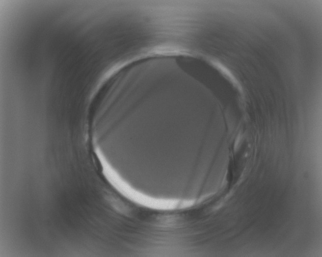 X0000081361461200702082308