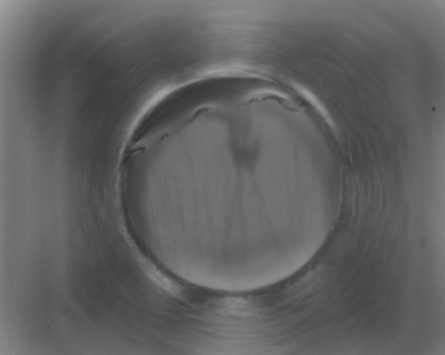 X0000081361463200702082308