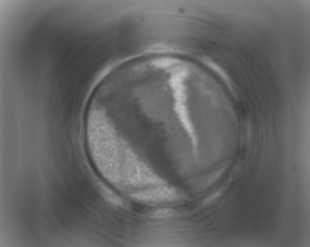 X0000081361467200702082308