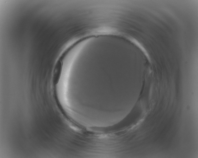 X0000081361469200702082308