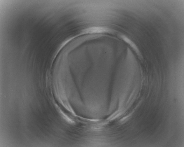 X0000081361473200702082308