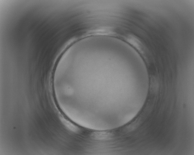 X0000081361474200702082308