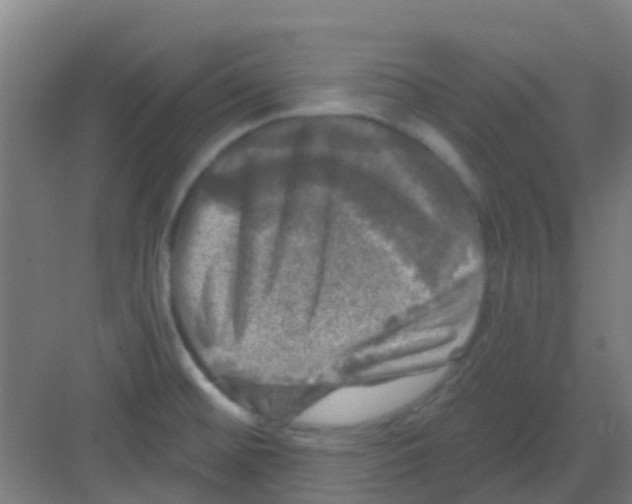 X0000081361476200702082307