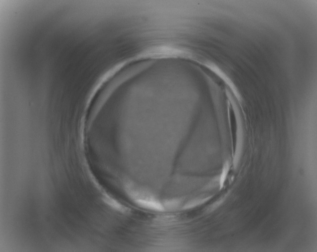 X0000081361477200702082307