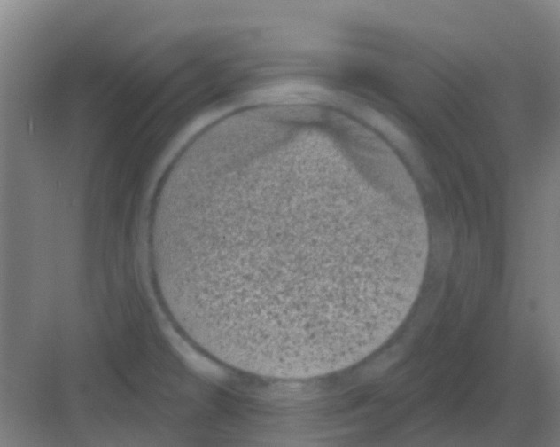 X0000081361478200702082307