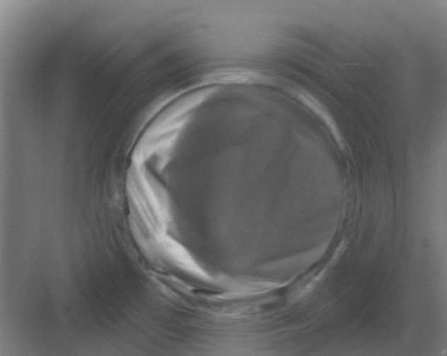 X0000081361481200702082307