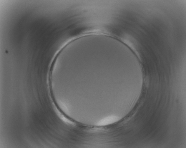 X0000081361482200702082307