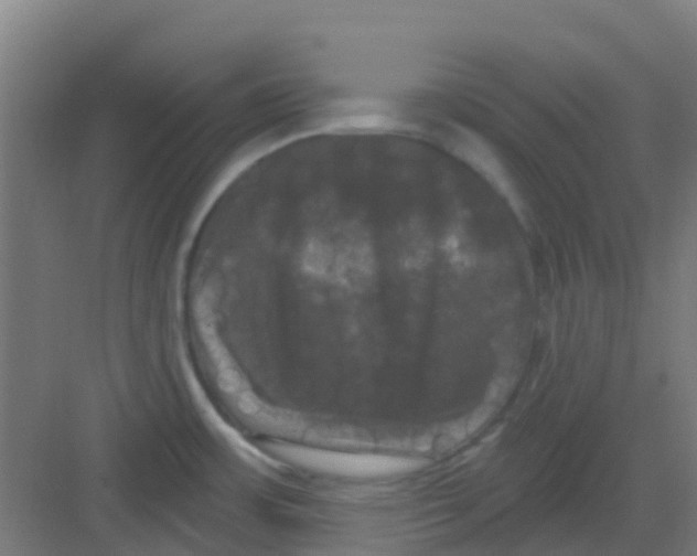 X0000081361483200702082307