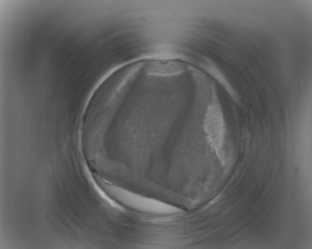 X0000081361484200702082307