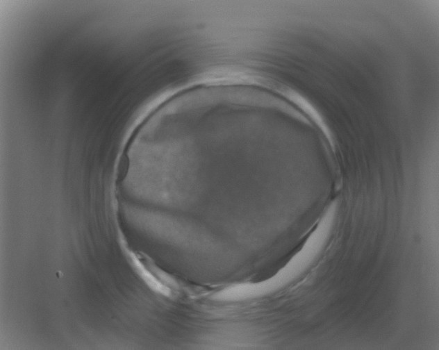 X0000081361485200702082307