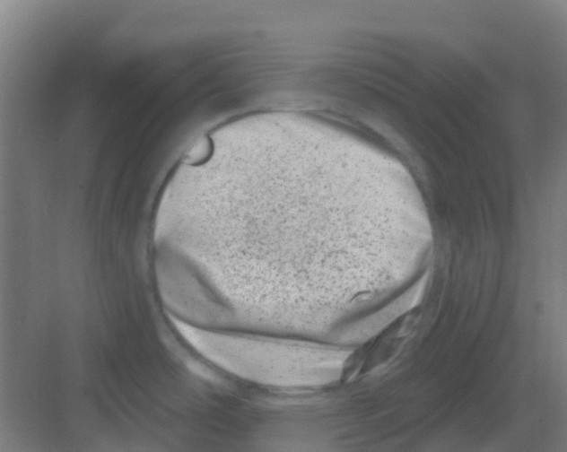 X0000081361486200702082307