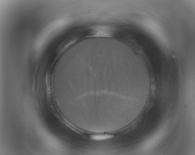 X0000081361487200702082307