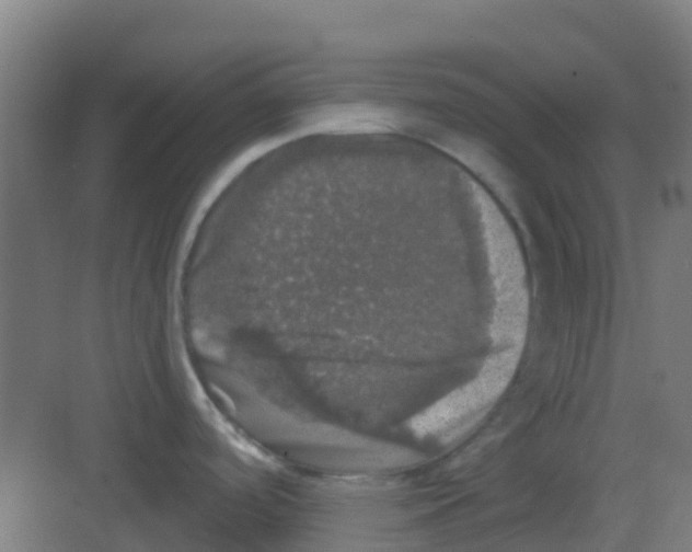 X0000081361488200702082307