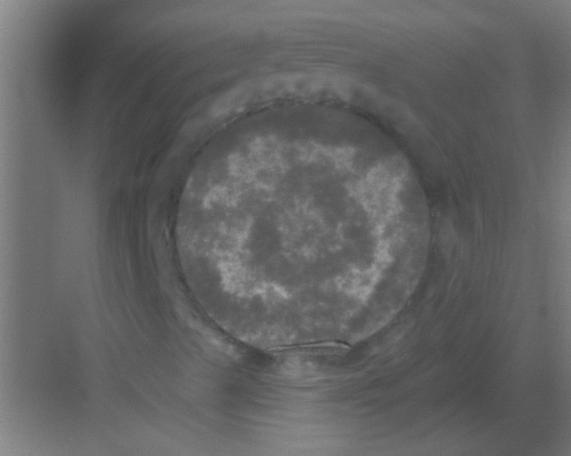 X0000081361489200702082306