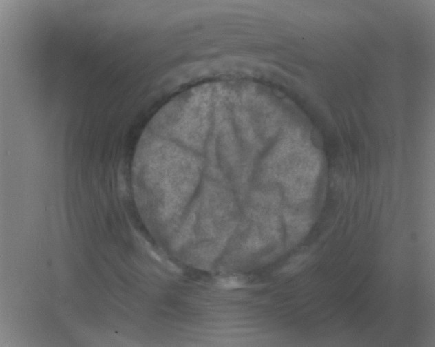 X0000081361490200702082307