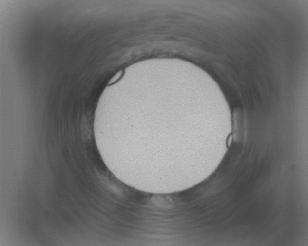 X0000081361491200702082307