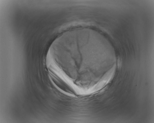 X0000081361492200702082307