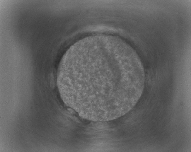 X0000081361493200702082307