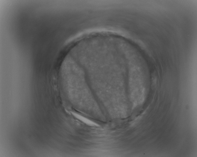 X0000081361494200702082307