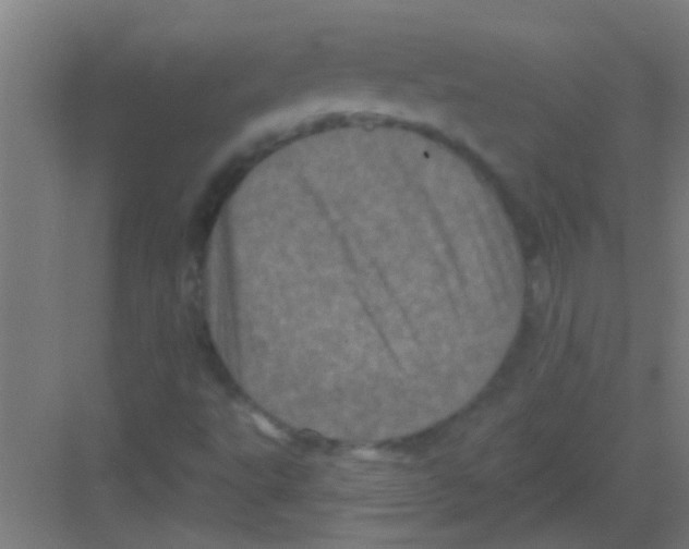 X0000081361495200702082307