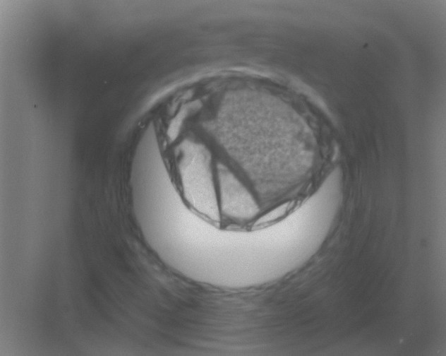 X0000081361496200702082307