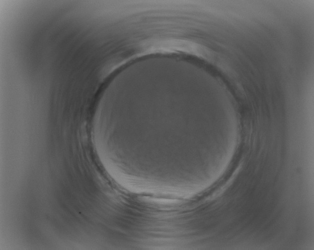 X0000081361497200702082307