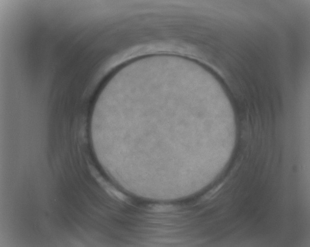 X0000081361499200702082307