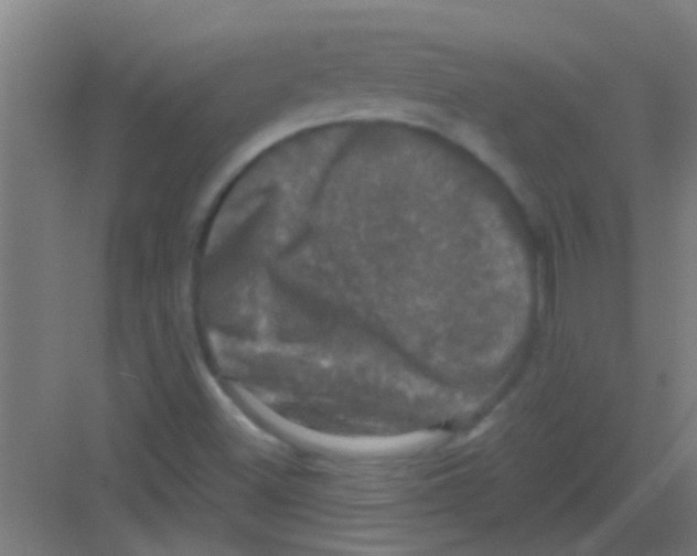 X0000081361500200702082307