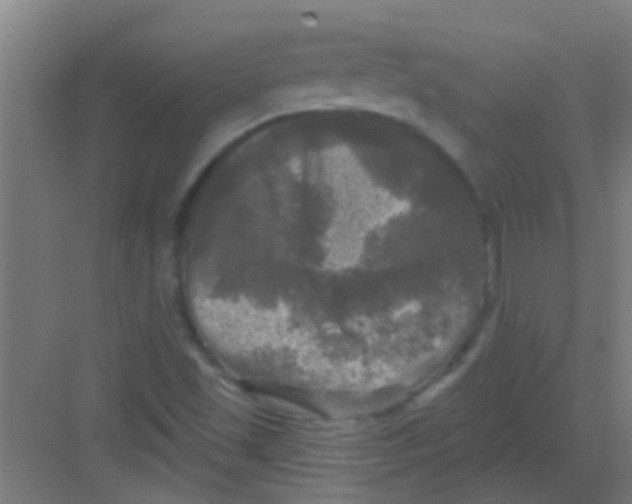 X0000081361501200702082307