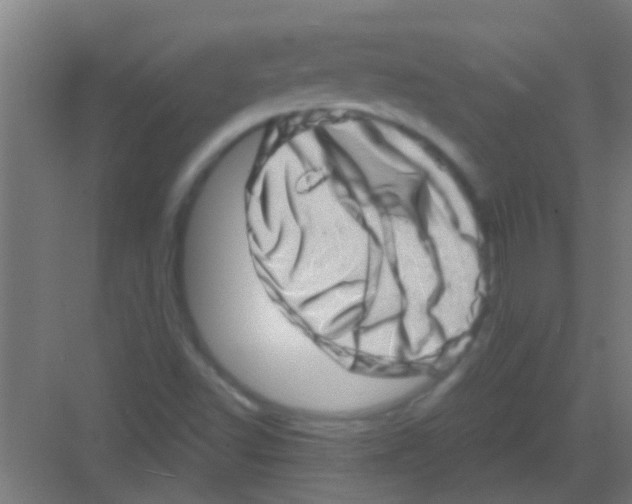 X0000081361502200702082307