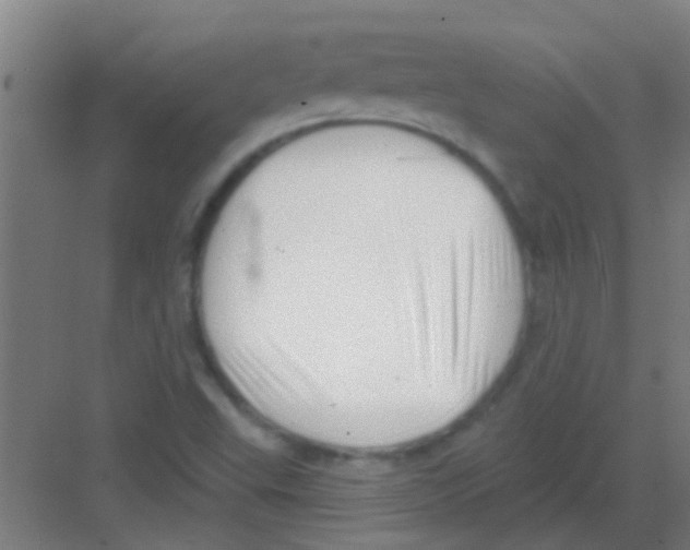 X0000081361503200702082307