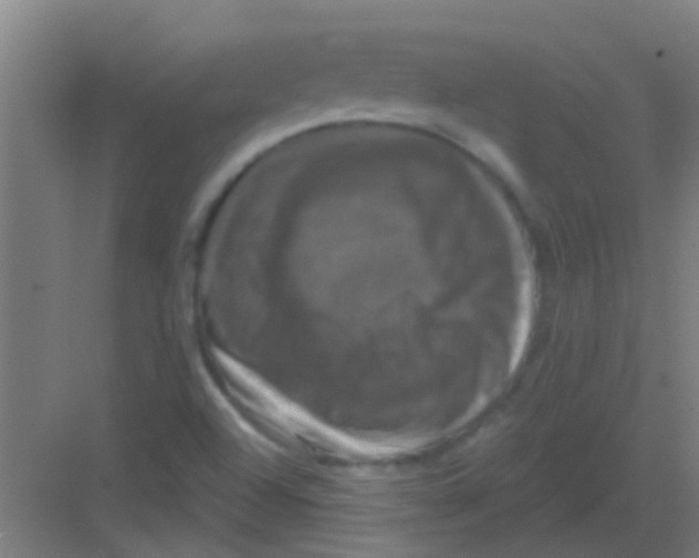 X0000081361504200702082307