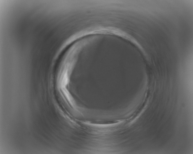 X0000081361506200702082307