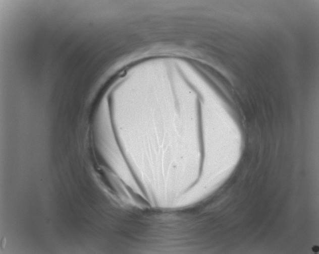 X0000081361507200702082307