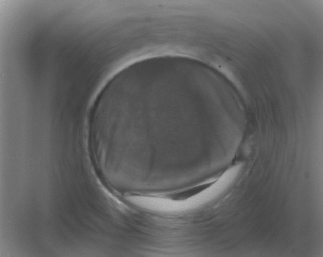 X0000081361508200702082307